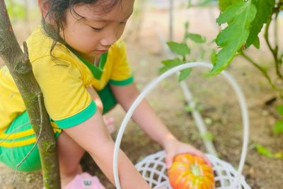 HOẠT ĐỘNG TRẢI NGHIỆM CỦA TRẺ TRƯỜNG MẦM NON LÝ SƠN NĂM HỌC 2023-2024