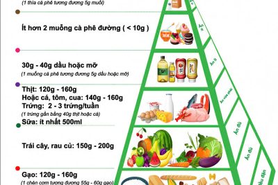 Dinh dưỡng hợp lý – nền tảng giúp trẻ phát triển
